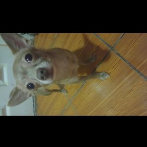 Meet your Posher, Erica