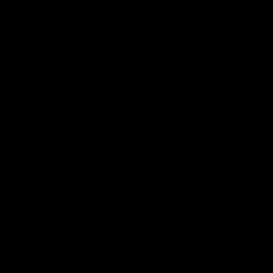 Meet your Posher, Jackson