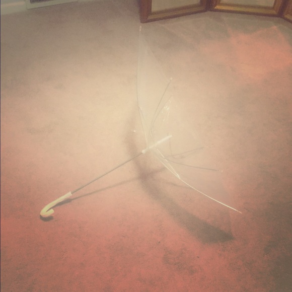 Reverse umbrella leash for small pup
