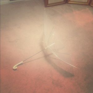 Reverse umbrella leash for small pup