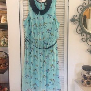 Hummingbird Dress