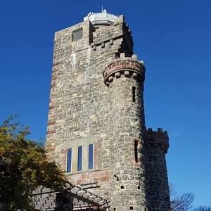 Meet your Posher, Shelley