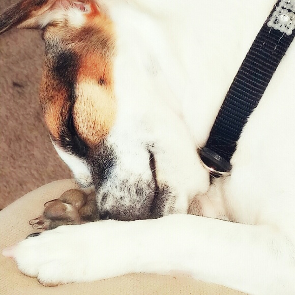 Meet your Posher, JamiDoll - Picture 3 of 3