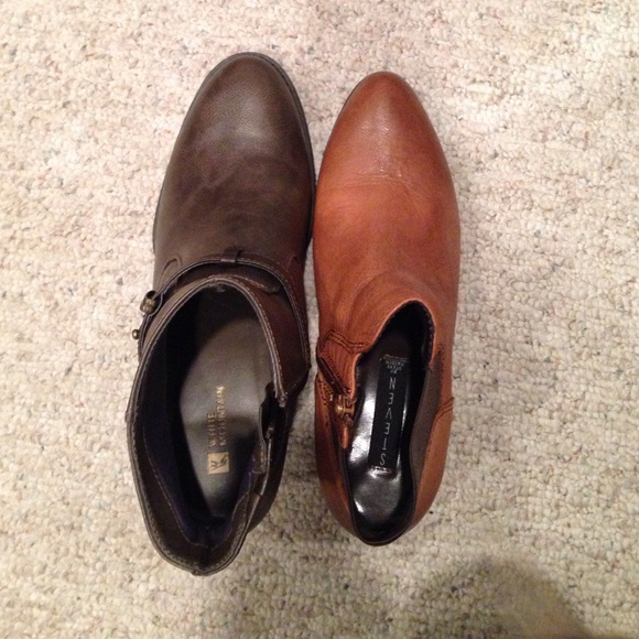 Steve Madden Congac Booties
