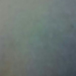 Meet your Posher, Dave