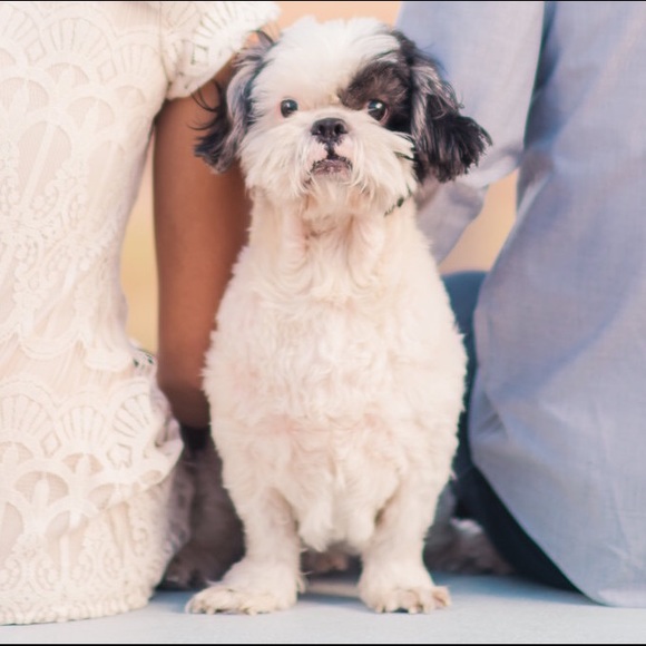 ๐ฆ Meet your Posher, Melissa - Picture 4 of 4