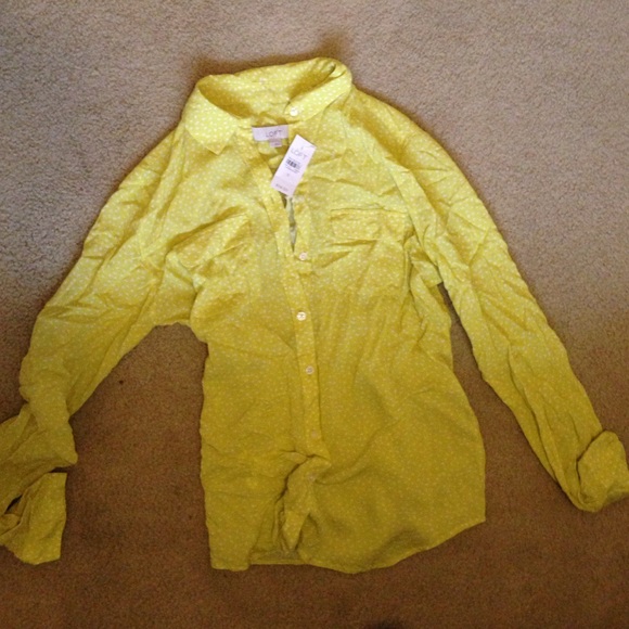 Yellow/spring green printed long sleeve, NWT!