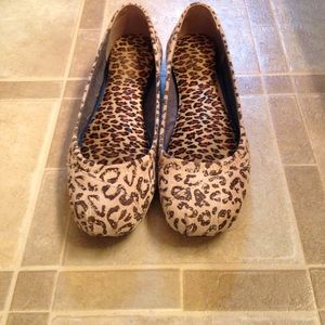 Women's Toms Giselle leopard flats size 8