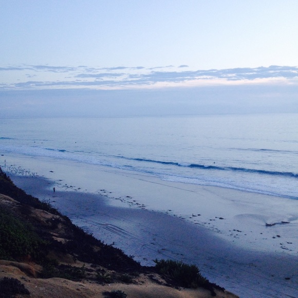 Meet your Posher, Zoe