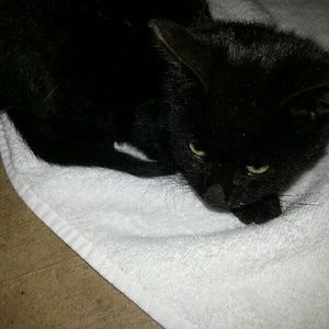 Meet your Posher, Dottie