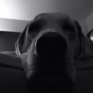 Meet your Posher, Nicki