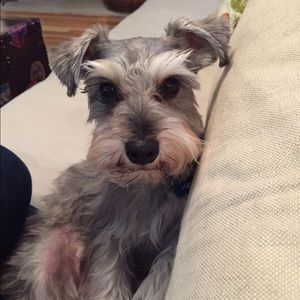 Meet your Posher, Whitney