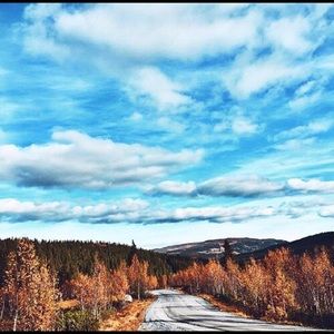 Meet your Posher, Gwen