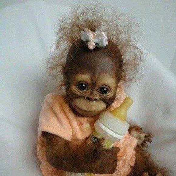 Meet your Posher, Sharon