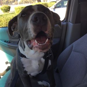 Meet your Posher, Alberto