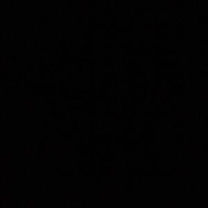 Meet your Posher, Reagan