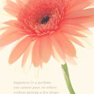 Meet your Posher, Carol