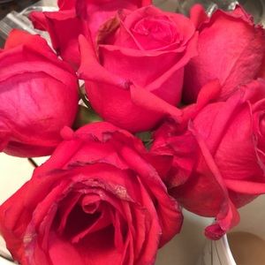 Meet your Posher, Serena