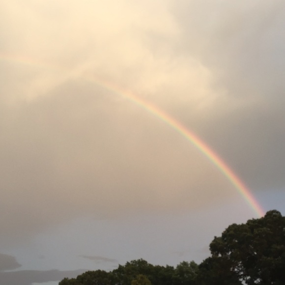 Meet your Posher, Cece