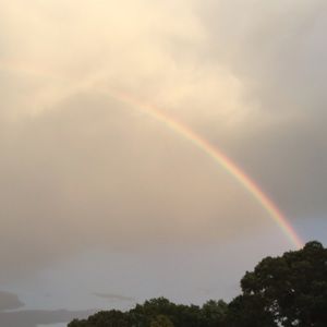 Meet your Posher, Cece