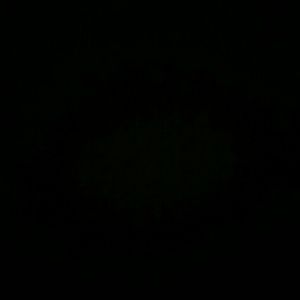 Meet your Posher, Joan