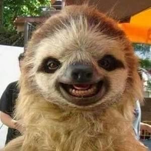 Meet your Posher, Treasa