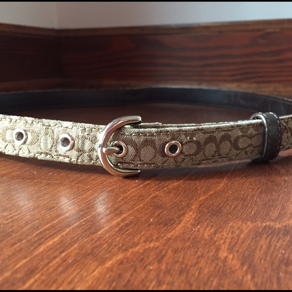 Coach skinny belt