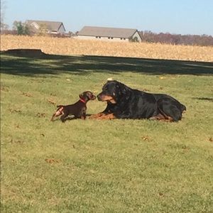 Meet your Posher, Jamie