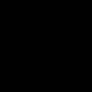 Meet your Posher, Lili