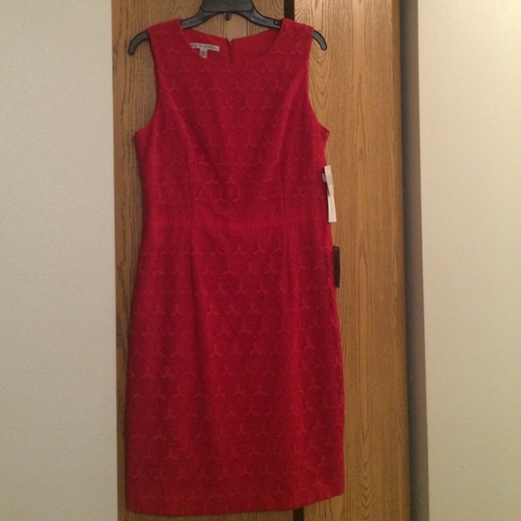 'Star Floral' Mesh Overlay Dress - Picture 3 of 4