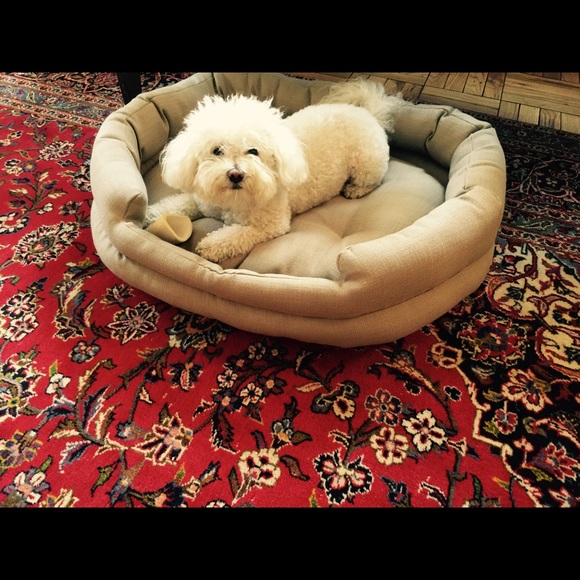 Meet your Posher, Elizabeth.