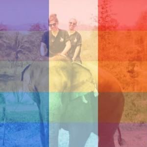 Meet your Posher, Shelby