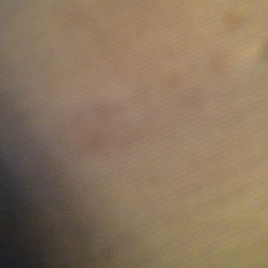 Meet your Posher, Ashlyn