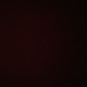 Meet your Posher, Claire