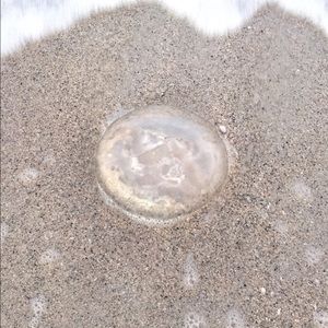 Meet your Posher, Debbi