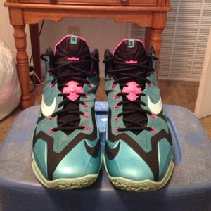 Lebron 11 southbeach