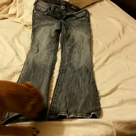 Silver Jeans - Picture 3 of 3