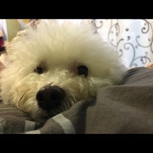 Meet your Posher, Yuriko