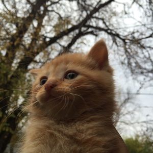 Meet your Posher, Kendall