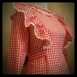 Vintage Red and white gingham dress