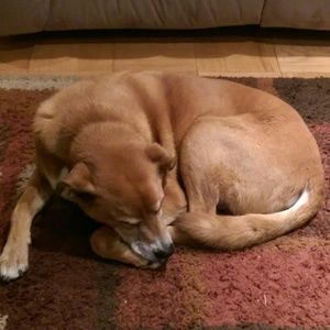 Meet your Posher, Tammy