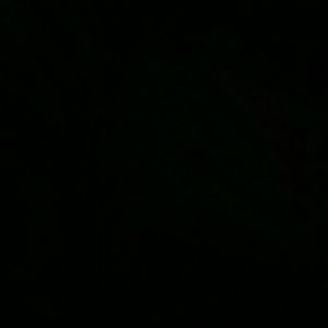 Meet your Posher, Angelica