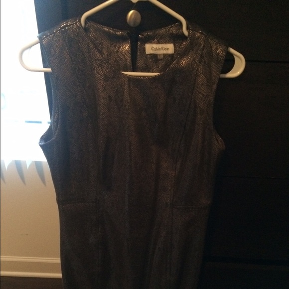 Calvin Klein Dress great for work events!