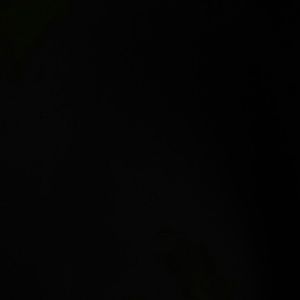 Meet your Posher, Hector