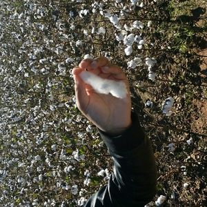 Meet your Posher, Timima