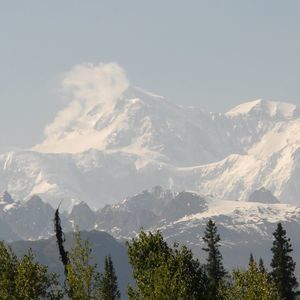 Meet your Posher, Beryl