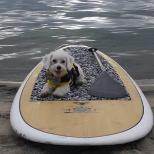 Meet your Posher, Alana