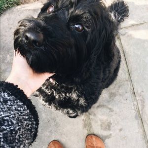 Meet your Posher, Kang ling