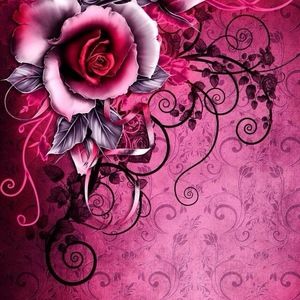 Meet your Posher, Antonia