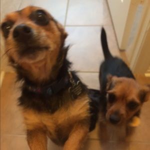 Meet your Posher, Brianna